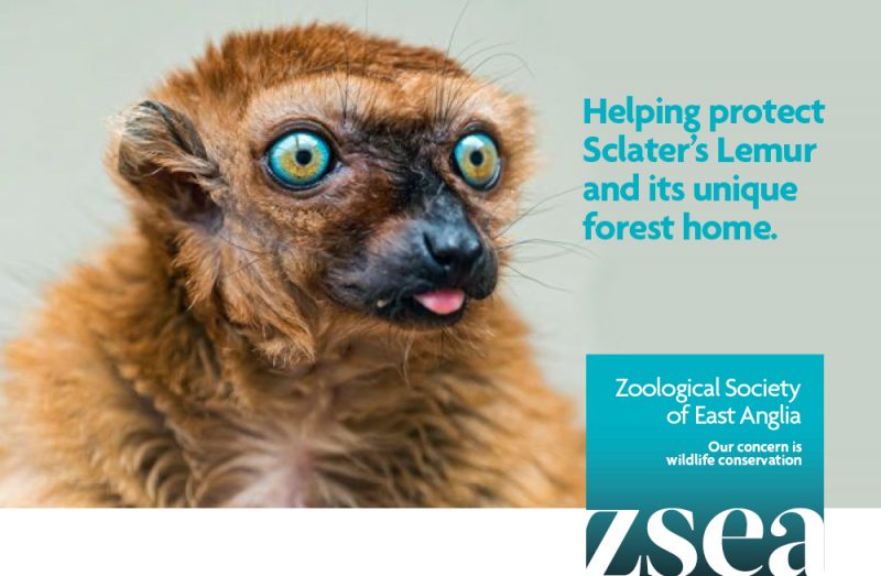 Image of example of Zoological Society of East Anglia's fundraising message