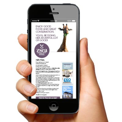 Image of fundraising campaign on mobile screen