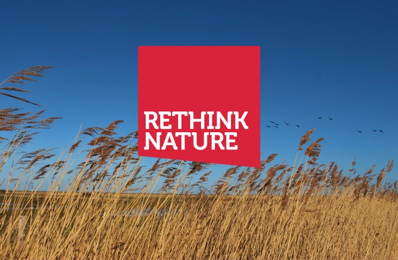 Rethink Nature - The Point