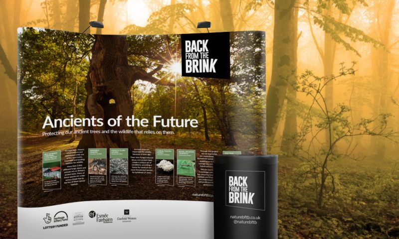Image of Back from the Brink Ancients of the Future pop up banner stand