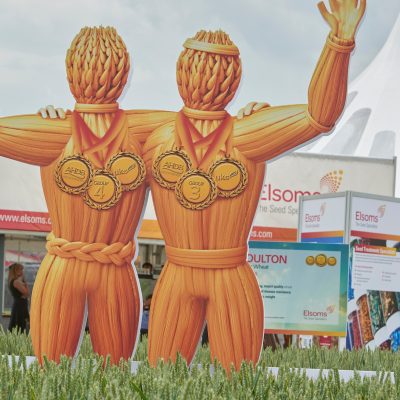 An image of Elsoms wheat campaign cutouts