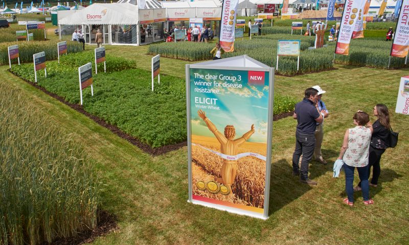 Image of Elsoms stand at Cereals 2018