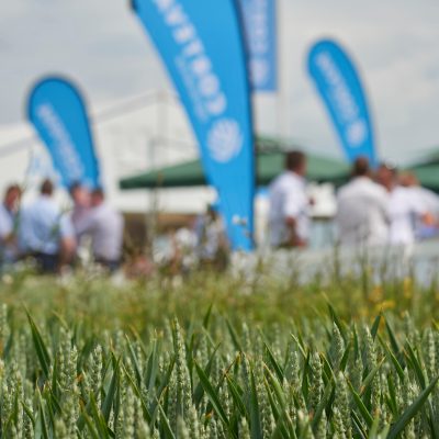 Image of crop and flags on Corteva stand at Cereals 2018